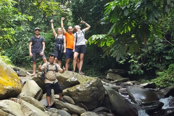 Sumatran wildlife in the rainforest