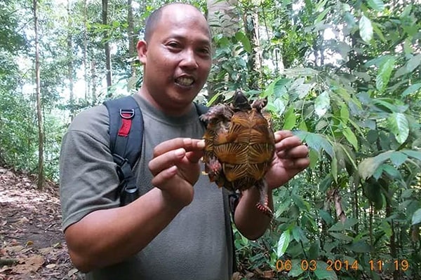 Suprayetno 'Yetno', licensed Bukit Lawang jungle guide